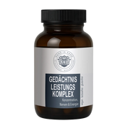 Gedächtnis Leistungs Komplex